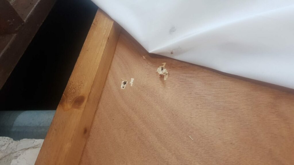 שבוע טוב ומועדים לשמחה